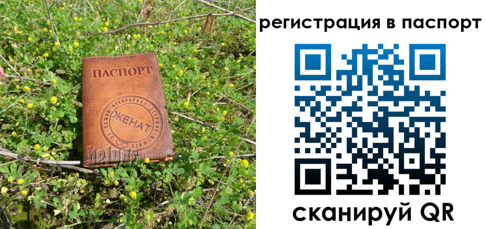 прописка законно в Вельске